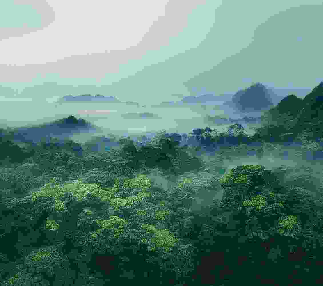 travel Taxonomy Image travel Taxonomy Image